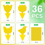 72 Pcs Combo Sticky Traps for Fruit Fly, Whitefly, Fungus Gnat, Mosquito and Bug, Yellow Sticky Insect Catcher Traps for Indoor/Outdoor/Kitchen, Extremely Sticky Fly Trap, Non-Toxic