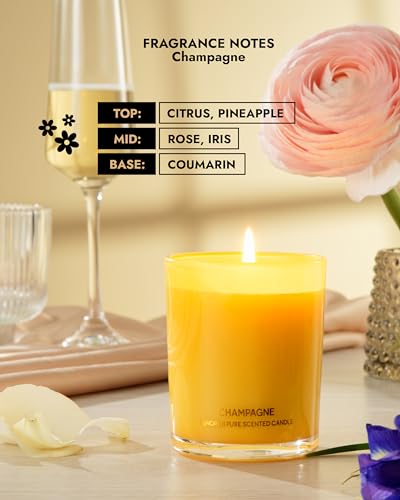 96NORTH | Pure Champagne Candle | 100% Natural Soy Wax | Jar Candle | Natural Fragrance Technology | Non Toxic | Up to 35 Hours Burning Time | Aromatherapy Gift for Men and Women