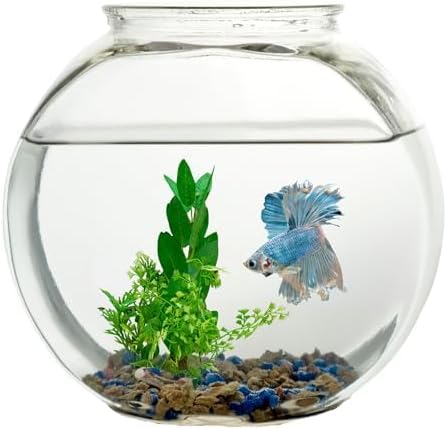 Koller Products 1-Gallon Fish Bowl, Shatterproof Plastic with Crystal Clear Clarity