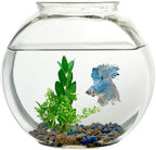 Koller Products 1-Gallon Fish Bowl, Shatterproof Plastic with Crystal Clear Clarity