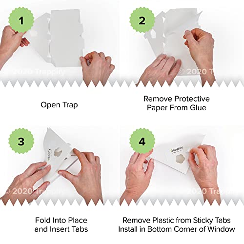 Trappify Window Fly Traps: House Window Fruit Fly Traps for Indoors, Gnat, & Other Flying Insect, Disposable Indoor Fly Trap with Extra Sticky Adhesive Strips - Inside Home Housefly Bug Catchers (12)