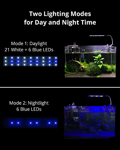 NICREW Fish Tank Clip on Light, Clamp Aquarium Light with White and Blue LEDs, 480LM, 10 Watts