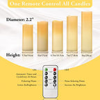OSHINE Flameless Candles with Remote, Battery Operated Candles with 24H Timer, 5 Pack Led Candles Flickering Realistic, Battery Candles Christmas Gifts, Electric Candle for Home Wedding Holiday Decor