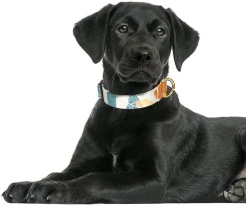 Rnivvi Dog Collar for Large Dogs, Cute Heavy Duty Adjustable Puppy Collar with Quick Release Buckle for Boy Girl & Female, Pet Accessories for Walking Running, L Length 1" Width, Abstract Leaves