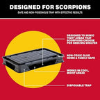 Catchmaster Scorpion Glue Tray Traps 6-Pack, Adhesive Scorpion Killer for Home, Simple Insect Traps Indoor, Sticky Bug Catcher for Kitchen, Garage, & Basement, Pet Safe Pest Control Glue Trap