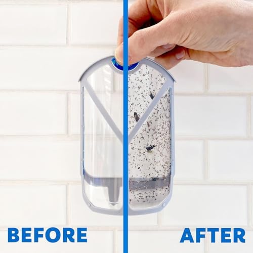 Zevo Flying Insect Trap for Indoors: Light Trap Captures Fruit Flies, Gnats and Houseflies, Starter Kit (1 Plug-in Base + 1 Cartridge)