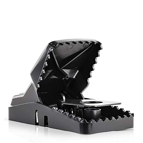 eXuby Large Powerful Rat Traps (24 Pack) - Kills Instantly with Powerful Steel Spring - Setup in Seconds - Wash & Reuse Over & Over - Hands Free Disposal - Rat Control Without Harmful Poisons or Chem