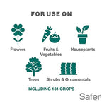 Safer Brand 5192-6, 16 oz Horticultural & Dormant Spray Oil Concentrate, 1 Pack, Green