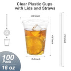 Dealusy 100 Pack - 16 oz Clear Plastic Cups with Lids and Straws, Sturdy & Food Safe Iced Coffee Cups with lids, Iced Coffee Cup, Disposable Cups Plastic Coffee Cups Smoothie Cups for Cold Drinks