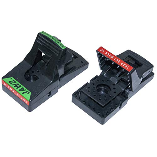 JT Eaton 410BULK Jawz Plastic Rat Trap, for Solid or Liquid Bait (Pack of 12)