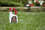 Ortho BugClear Insect Killer for Lawns and Landscapes Ready-to-Spray, Kills Periodical Cicadas, Mosquitoes, Ants, Spiders, Fleas, Ticks and More, 32 oz.