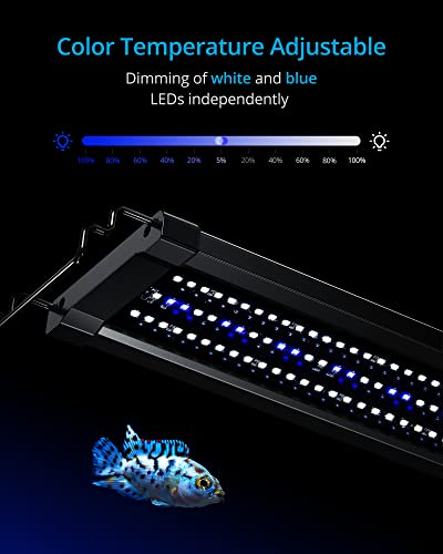 NICREW ClassicLED Gen 2 Aquarium Light, 40 Watts, Dimmable LED Fish Tank Light with 2-Channel Control, White and Blue LEDs, Size 48 to 60 Inch