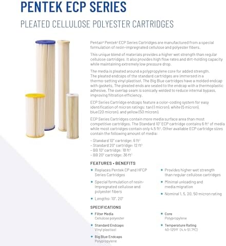 Pentair Pentek ECP5-BB Big Blue Sediment Water Filter, 10-Inch, Whole House Heavy Duty Pleated Cellulose Polyester Replacement Cartridge, 10" x 4.5", White End-Cap, 5 Micron, Pack of 2