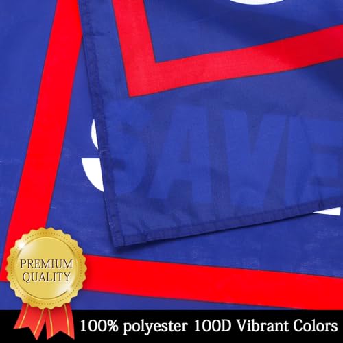 2024 Trump Flag for Don't Blame Me I Voted for Trump & Let‘s Go Brandon, 3x5 Ft Trump Banner with Brass Grommets Outdoor, Decoration Premium Presidential Election Banner 100D Polyester, UV Protection