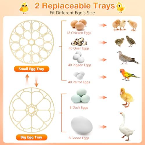 18 Egg Incubator with Automatic Egg Turning and Humidity Control, 360° View Incubators for Hatching Eggs, Incubator for Chicken Eggs, Ducks, Goose, Pigeon, Quail, Parrot Eggs (Orange)