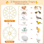 18 Egg Incubator with Automatic Egg Turning and Humidity Control, 360° View Incubators for Hatching Eggs, Incubator for Chicken Eggs, Ducks, Goose, Pigeon, Quail, Parrot Eggs (Orange)
