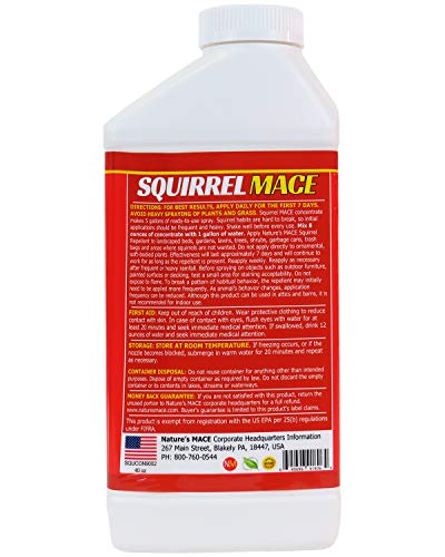 Nature’s MACE Squirrel Repellent 40oz Concentrate/Covers 28,000 Sq Ft/Keep Squirrels & Chipmunks from Destroying Trees, Planters and Bird Feeders/Safe to use Around Children & Plants