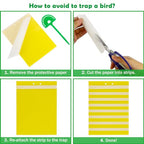 60 Sheets Sticky Fly Traps, Dual-Sided, for Flying Insect, Indoor and Outdoor, 8x6 Inch, Yellow