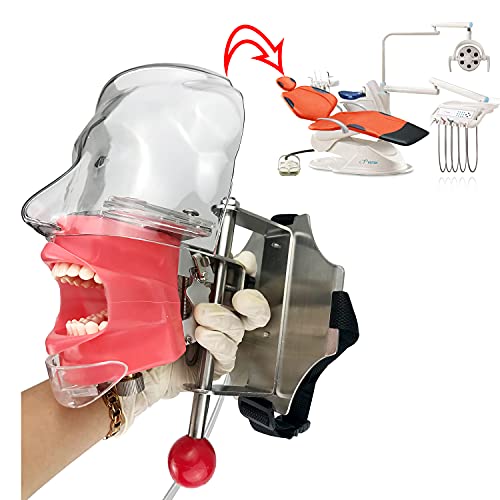 Simulator Manikin Phantom Head Dental Phantom Head Model with Bench Mount on Dental Chair