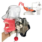 Simulator Manikin Phantom Head Dental Phantom Head Model with Bench Mount on Dental Chair