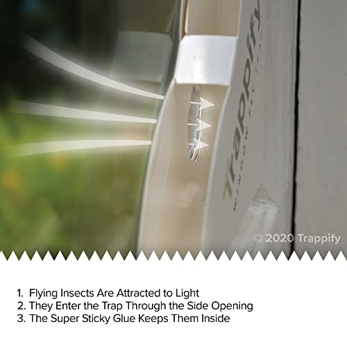 Trappify Window Fly Traps: House Window Fruit Fly Traps for Indoors, Gnat, & Other Flying Insect, Disposable Indoor Fly Trap with Extra Sticky Adhesive Strips - Inside Home Housefly Bug Catchers (12)