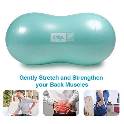 Chirp Cloud Peanut Mobility Ball for The Back, Physical Therapy Massage Ball for Adults, Exercise Balance Ball, Sensory Therapy Toys for Autistic & ADHD - 2 Pack (Mint 100x50cm, Black 60x30cm)
