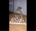 Superior Pantry Moth Traps with Pheromones Prime | No Insecticides | Safe, Non-Toxic and Child and Pet Friendly | Superior Attractant - 6 Traps
