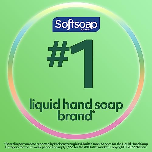 Softsoap Liquid Hand Soap Refill, Soothing Clean, Aloe Vera Fresh Scent - 1 gallon, Pack of 4