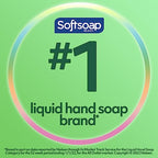 Softsoap Liquid Hand Soap Refill, Soothing Clean, Aloe Vera Fresh Scent - 1 gallon, Pack of 4