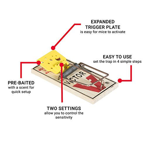Victor Easy Set Mouse Trap - 18 Pack (72 Total Traps)