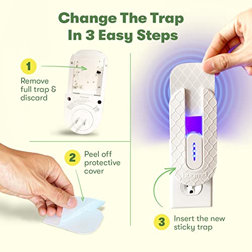 BugMD No Buzz Zone Refiller Pad (6 Pads) - Extra-Strong Adhesive Traps, Indoor Insect Trap Refill, No Harsh Chemicals, Household Friendly, Fly Trap Refill, Flea Trap Refills, Bug Trapper