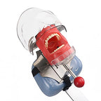 Simulator Manikin Phantom Head Dental Phantom Head Model with Bench Mount on Dental Chair