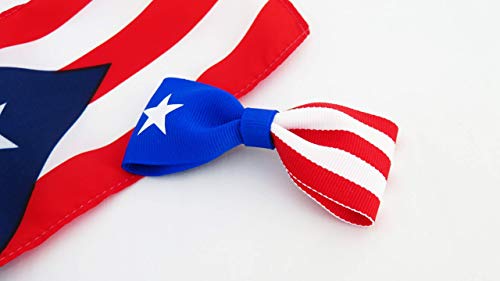Puerto Rico Hair Accessories for Girls 3.5 Inch Flag Hair Bow For Toddlers Bows For Little Girls With Clips 2 Pack For School Dance Event