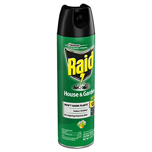 Raid House & Garden I, Indoor & Outdoor Insecticide Spray, 11 oz. (Pack of 1)