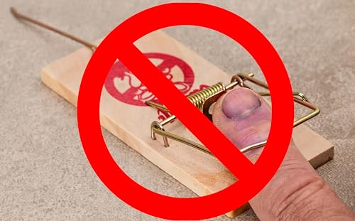 Harrier Hardware 24-Count Rat Mouse Snake Sticky Pest Baited Disposable Glue Traps Insect Spider Vermin