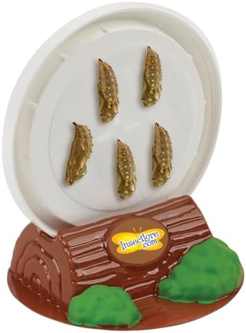 Insect Lore Butterfly Garden Kit, Painted Lady Butterfly Kit with Voucher for Live Caterpillars, Butterfly Habitat, STEM Journal & More