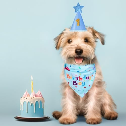 Dog Birthday Party Supplies, Dog Birthday Bandana Set, Dog Boy Girl Birthday Party Hat with Numbers for Large Medium Small Dogs Pet (Blue)