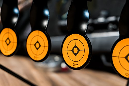 CALDWELL Rimfire Resetting Target with Portable Design and Shooting Spots for Outdoor, Range, Shooting and Hunting
