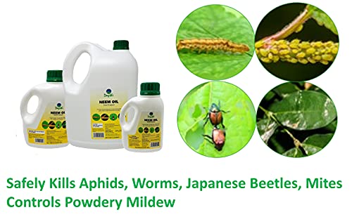 Deepthi Pure Neem Oil for Plants - Concentrated - Cold Pressed - Spray for Indoor Outdoor Garden - 100% Neem Oil – Controls Mildew - 33.8 Fluid Oz (1000 ml)