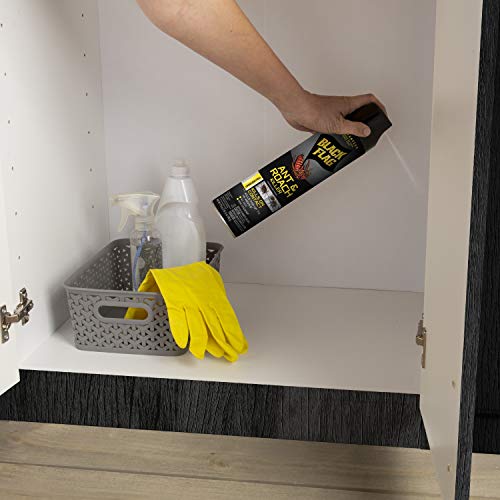 Black Flag Ant & Roach Killer Aerosol, Unscented, 17.5-Ounce, 12-Pack