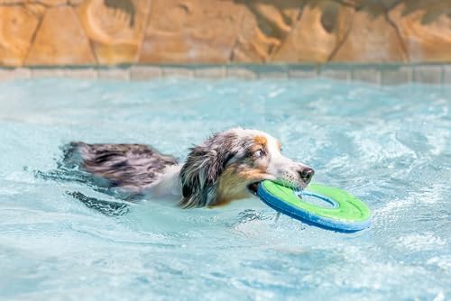 ChuckIt! Zipflight Flyer Dog Frisbee & Dog Toy that Floats; Gentle On Dog's Teeth and Gums; Medium
