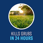 BioAdvanced 24-Hour Grub Plus for Lawns Ant, Tick, and Insect Killer, 10-Pounds, Ready-to-Spread Granules, Standup Bag