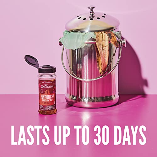 Aunt Fannie’s FlyPunch Fruit Fly Trap (3 Pack): for Indoor and Kitchen Use – Made with Plant Based Ingredients