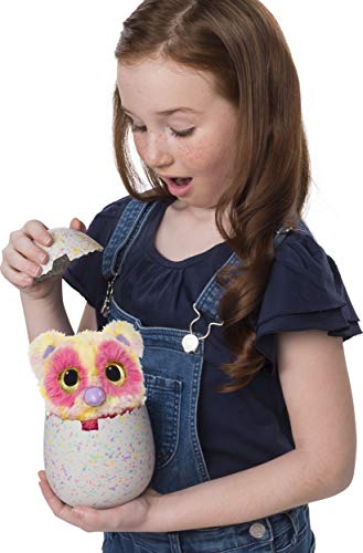 Hatchimals Mystery, Hatch 1 of 4 Fluffy Interactive Mystery Characters from Cloud Cove (Styles May Vary), Multicolor