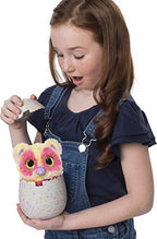 Hatchimals Mystery, Hatch 1 of 4 Fluffy Interactive Mystery Characters from Cloud Cove (Styles May Vary), Multicolor