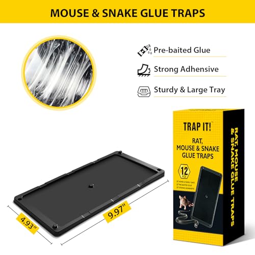 TRAP IT! Mouse Traps Indoor for Home, 12 Pack Pre-Baited Sticky Glue Traps for Mice & Rats, Larger Heavy Duty Adhesive Plastic Trays Pet Family Safe for Rodents, Snakes, Spiders, Lizards Pest Control