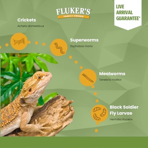 Fluker's Live Crickets, 100 Count Feeder Insects for Reptiles, Chickens, and Birds, Large (Approx. 3/4")