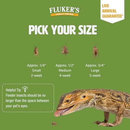 Fluker's Live Crickets, 100 Count Feeder Insects for Reptiles, Chickens, and Birds, Large (Approx. 3/4")