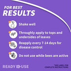 Bonide Rose Shield Spray, 64 oz Ready-to-Use, Insect and Disease Protection for Roses, Flowers and Ornamentals