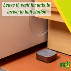 RESCUE! Ant Baits – Indoor Ant Killer, Ant Trap Alternative - 4 Pack (24 Bait Stations)